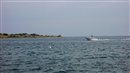 20070615_048.jpg