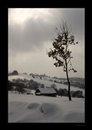 lesuzdar_I.jpg